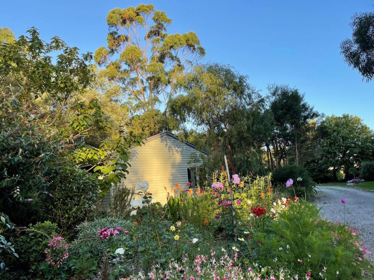 Tindoona Cottages Foster Εξωτερικό φωτογραφία