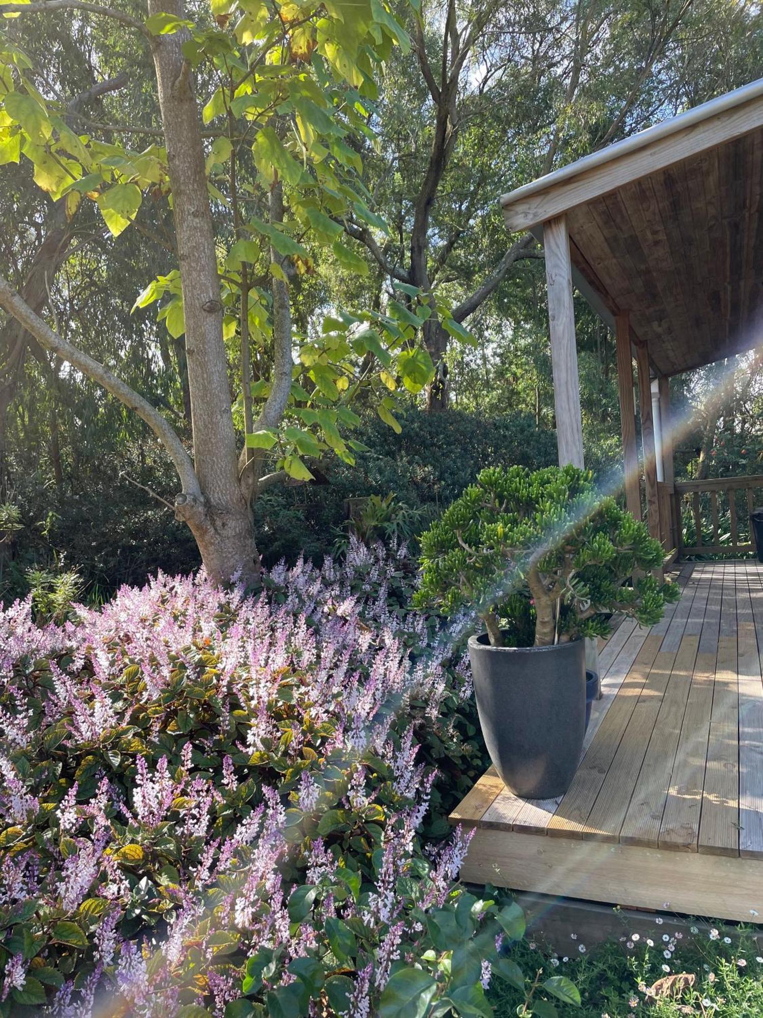 Tindoona Cottages Foster Εξωτερικό φωτογραφία