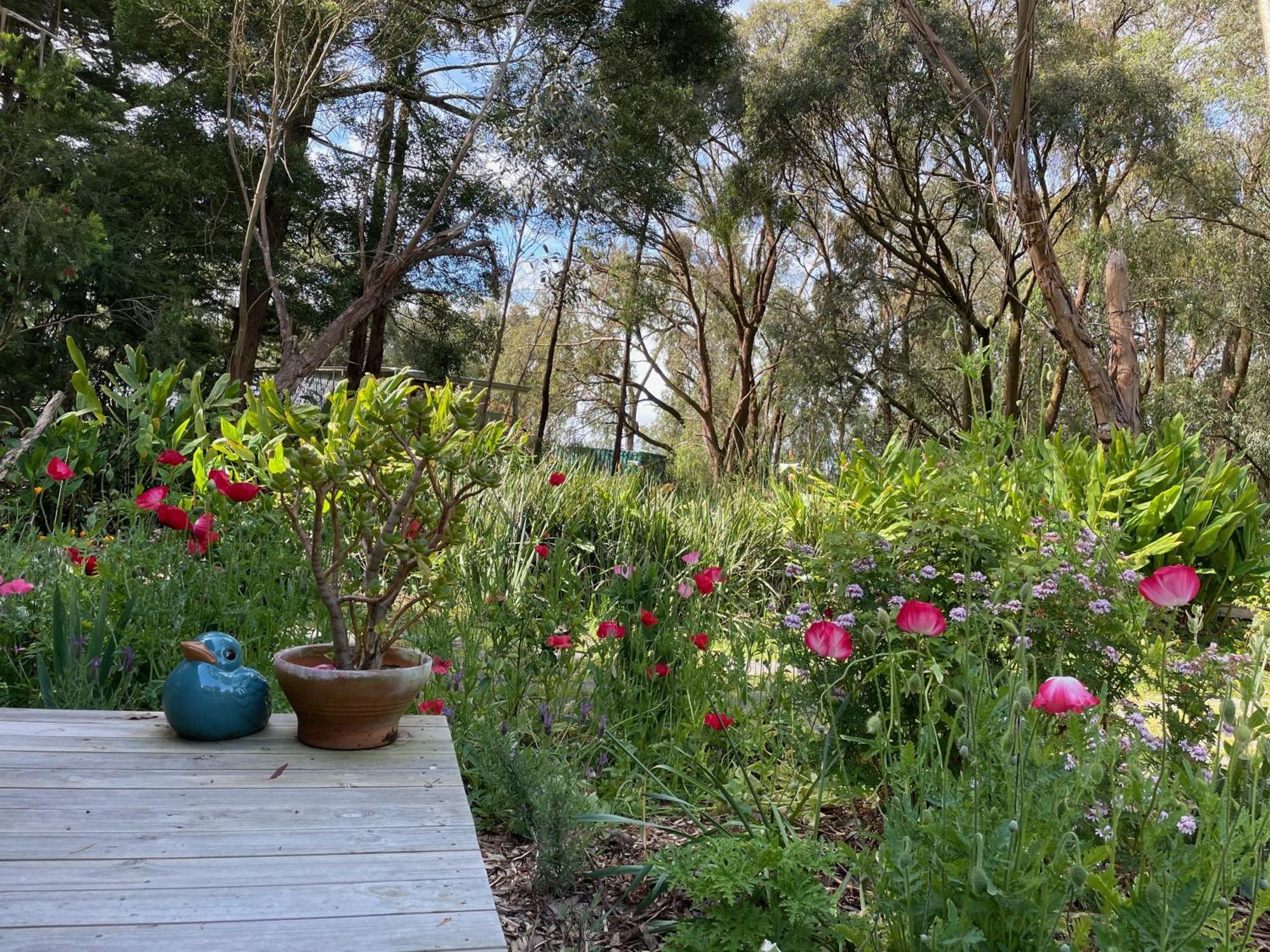 Tindoona Cottages Foster Εξωτερικό φωτογραφία