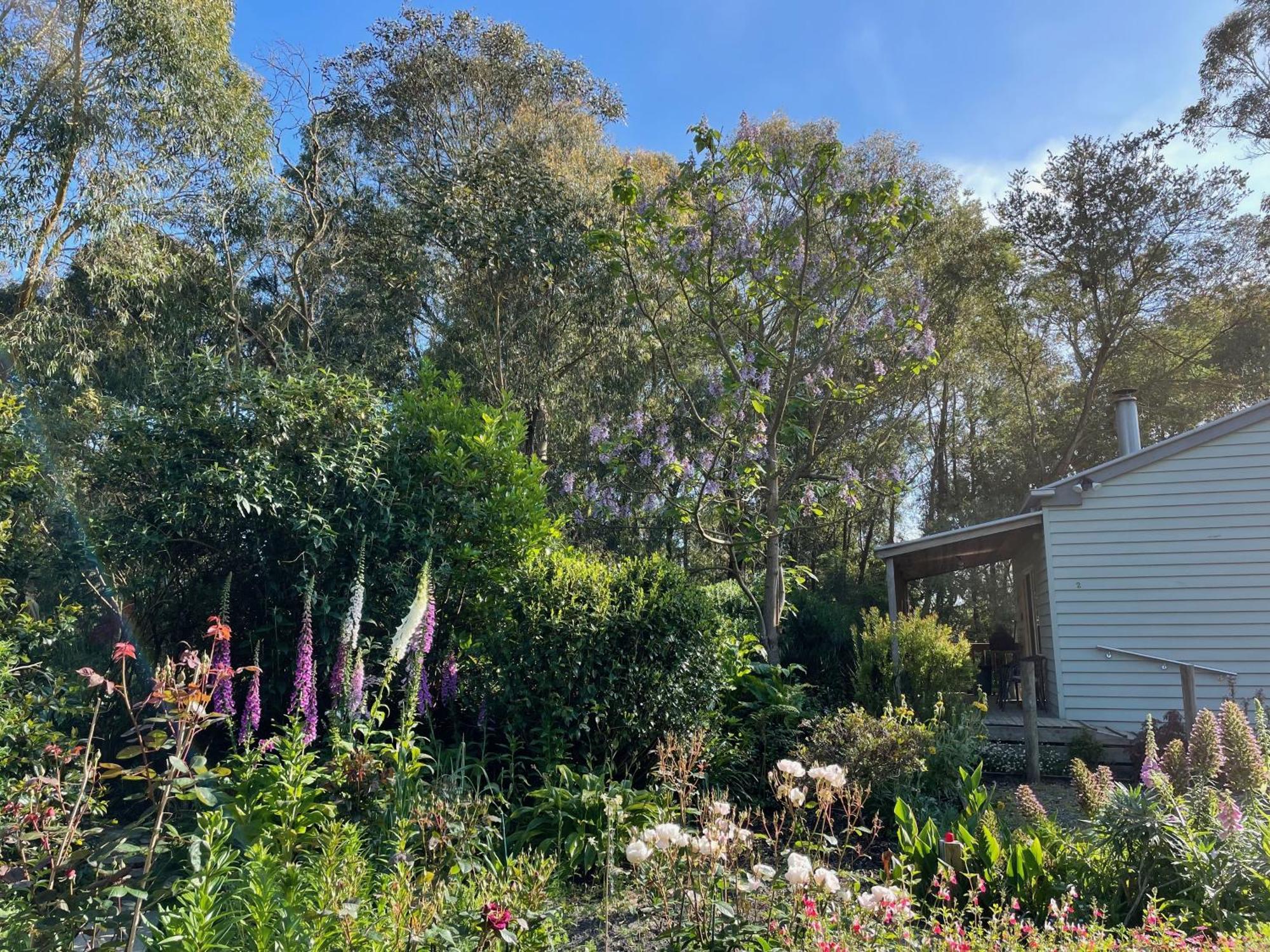 Tindoona Cottages Foster Εξωτερικό φωτογραφία