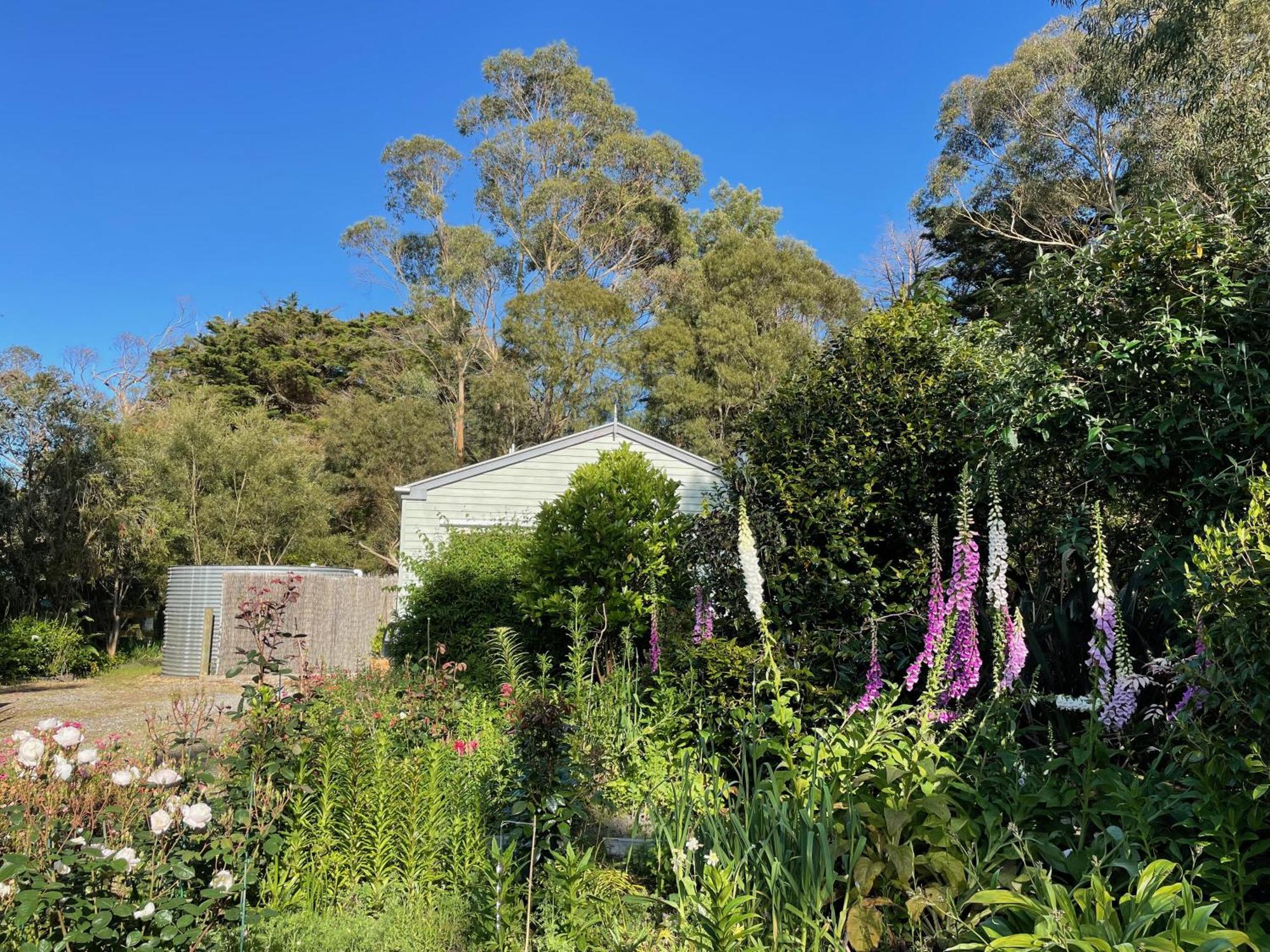 Tindoona Cottages Foster Εξωτερικό φωτογραφία