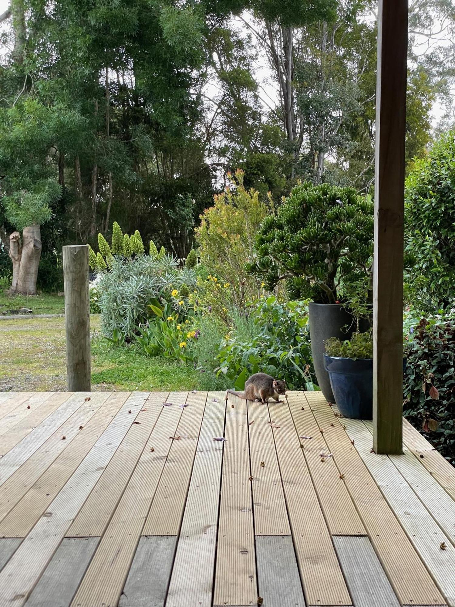 Tindoona Cottages Foster Εξωτερικό φωτογραφία