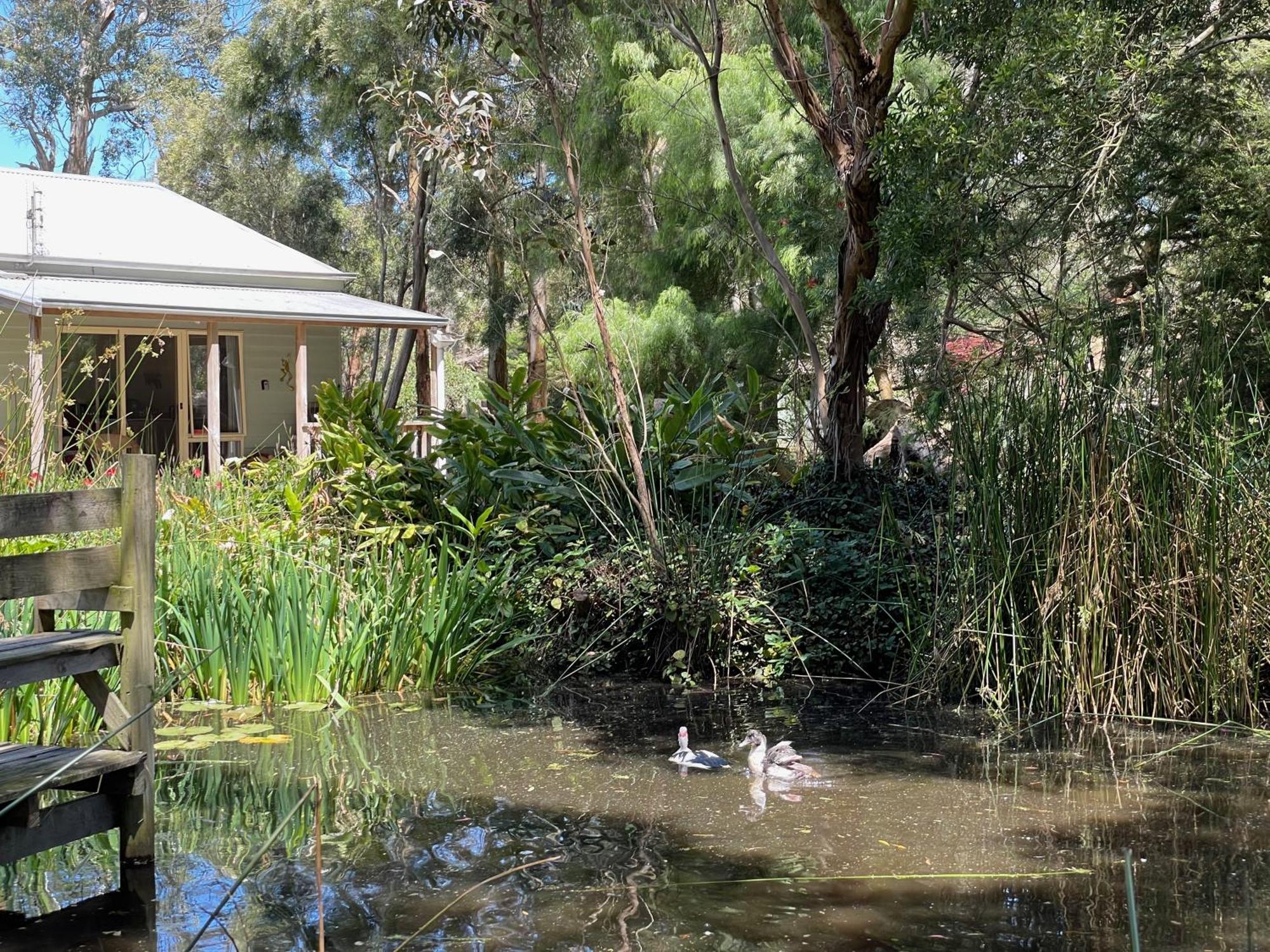 Tindoona Cottages Foster Εξωτερικό φωτογραφία