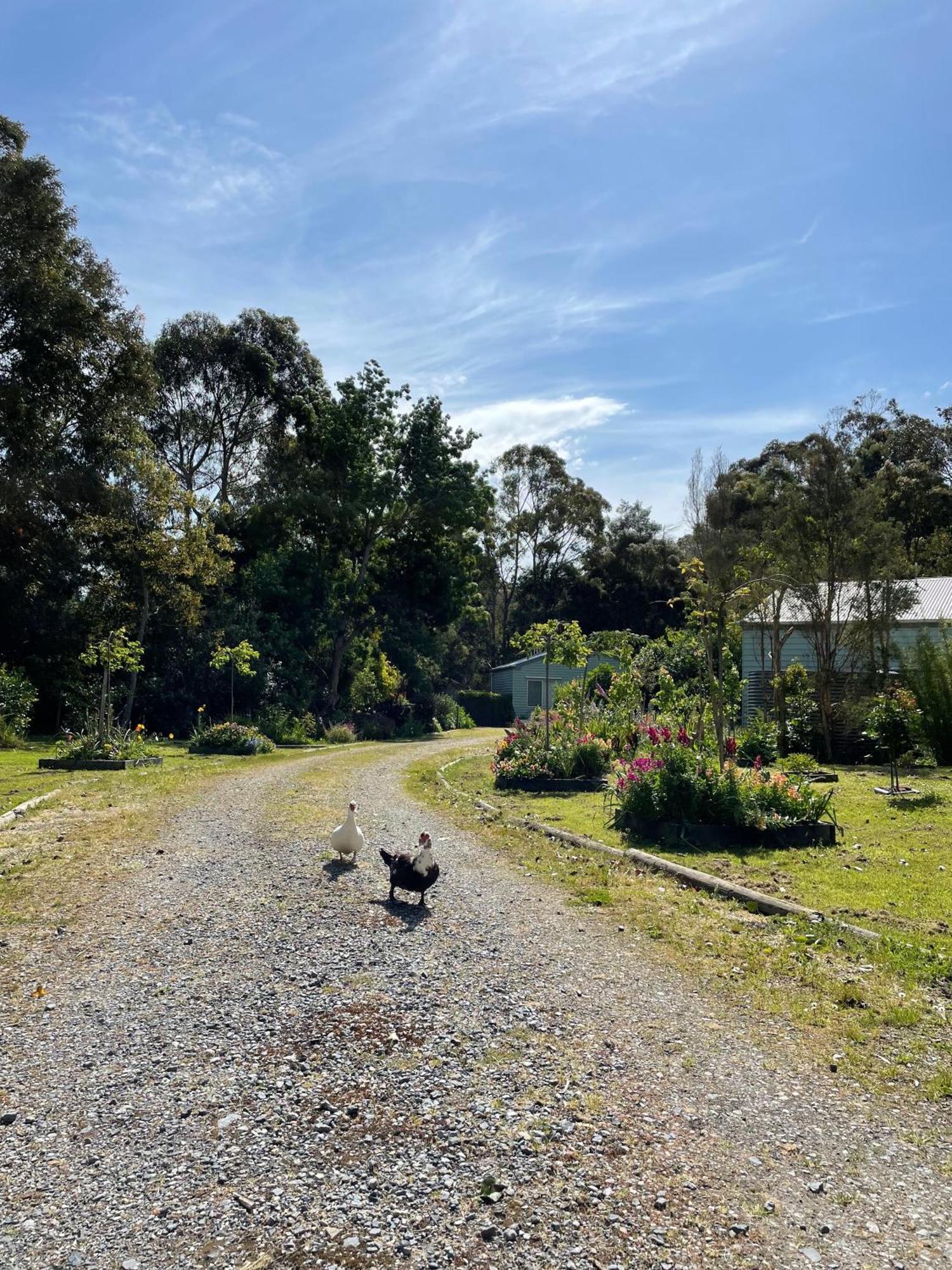Tindoona Cottages Foster Εξωτερικό φωτογραφία